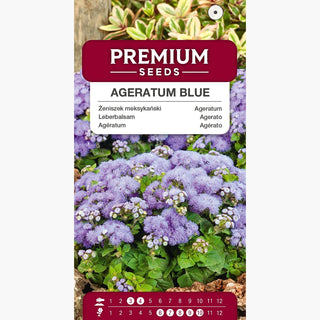 Agératum Bleu - Plante basse aux fleurs bleues, idéale pour massifs et pots - Ageratum houstonianum