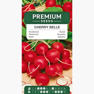 Radis Cherry Belle - Intensément rouge, productive, parfaite pour salades printanières !