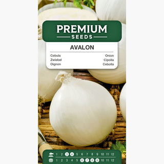 Oignon Avalon - Délicate et douce, goût exquis pour tous ! - Allium cepa