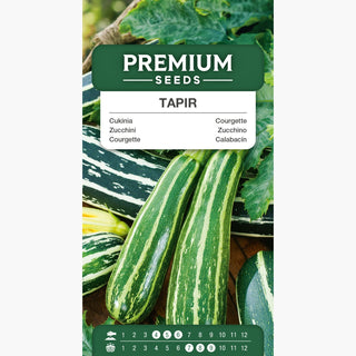 Courgette Tapir - Idéale pour cuisson, friture et farce !