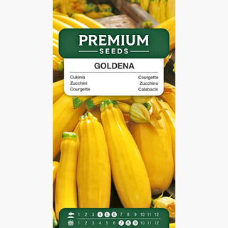 Courgette Goldena - Fruits juteux, riches en vitamines, parfaits pour les gratins