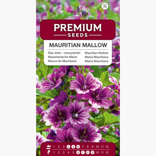 Mauve de Mauritanie - Décorative, pourpre profond - Malva sylvestris L. var. mauritiana