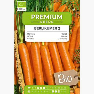 BIO Carotte Berlikumer 2 - Variété écologique productive et résistante