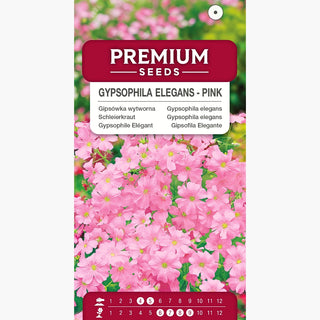 Gypsophile Elégant - Rose - Touche romantique pour les bouquets - Gypsophila elegans