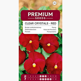 Pensée - Clear Crystals - Fleurs luxuriantes captivant le regard - Viola ×wittrockiana