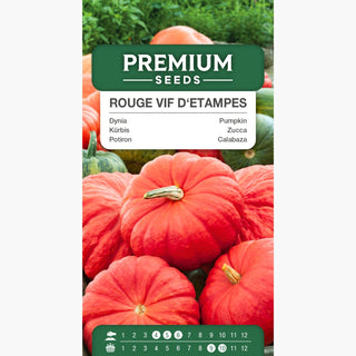 Potiron - Rouge vif d'Etampes - Variété au goût sucré et facile à cultiver - Cucurbita maxima - Graines Premium