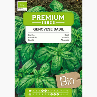 BIO Basilic Genovese - Goût et arôme exceptionnels - Ocimum basilicum
