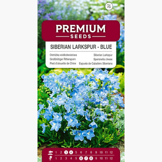 Pied d'Alouette de Chine Bleu - Couleur intense, floraison longue, résistante et durable - Delphinium grandiflorum