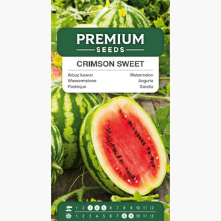 Pastèque Crimson Sweet - Fruits gigantesques et sucrés, parfaits pour les salades - Citrullus lanatus