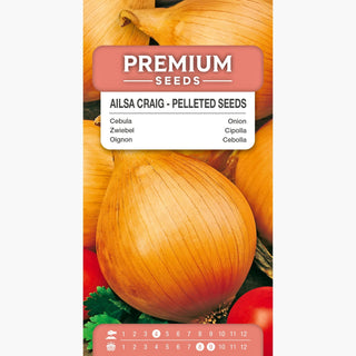 Oignon Ailsa Craig - Oignons géants et sucrés pour les plus exigeants ! - Allium cepa