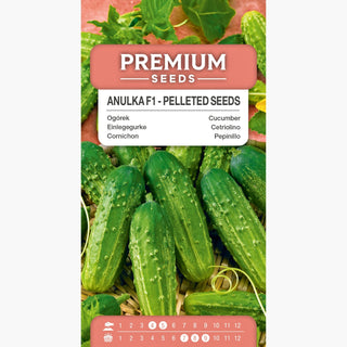 Cornichon Anulka F1 - Extra productif et résistant, parfait pour les cornichons