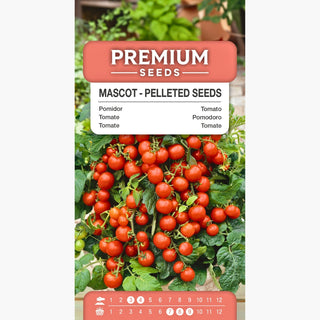 Tomate Mascot - Productivité et goût sucré, parfait pour les salades