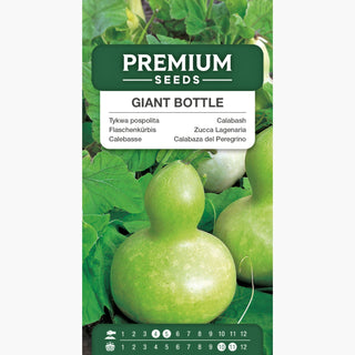Calebasse - Giant Bottle - Grands fruits uniques en forme de bouteille - Lagenaria siceraria