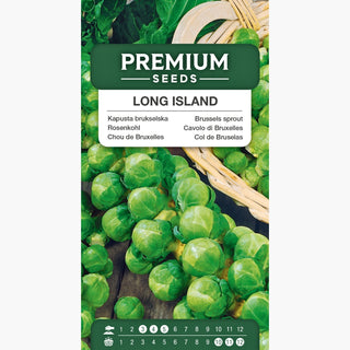 Chou de Bruxelles Long Island - Jusqu'à 40-60 têtes par plante, récoltes abondantes et rapides !