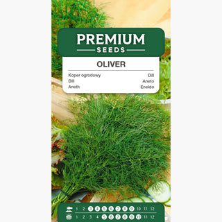 Aneth Oliver - Extrêmement productif, excellent pour séchage et congélation