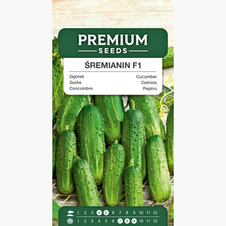 Concombre Śremianin F1 - Très précoce, très productive, résistante aux maladies !