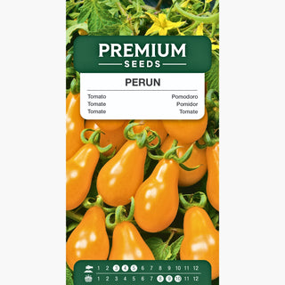 Tomate Perun - Haut, tardif, productif et savoureux