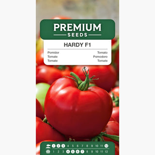 Tomate Hardy F1 - Haute productivité et résistance, super savoureuse !