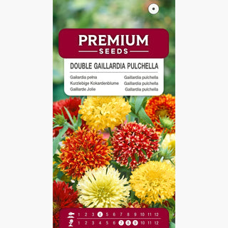 Gaillarde Jolie - Double Mélange - Fleurs doubles, intensément colorées - Gaillardia pulchella