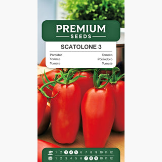 Tomate Scatolone 3 - Super productif, plein de saveur
