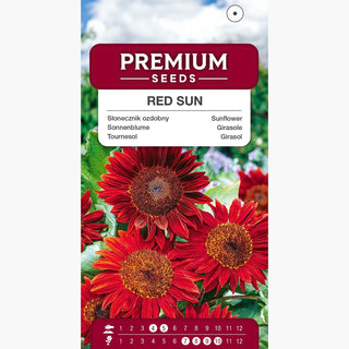 Tournesol Red Sun - Géant décoratif, croissance rapide, floraison longue - Helianthus annuus