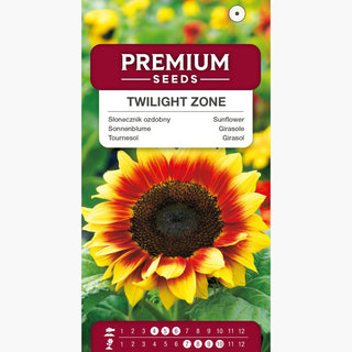 Tournesol - Twilight Zone - Unique, floraison prolongée jusqu’en automne - Helianthus annuus