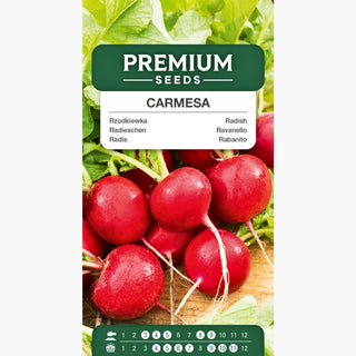Radis Carmesa - Résistante à la fissuration, riche en vitamines