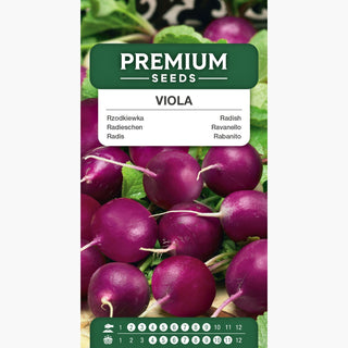 Radis Viola - Ronde, violette, juteuse, légèrement piquante