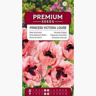 Pavot d'Orient - Princess Victoria Louise - Accent rose parmi les vivaces - Papaver orientale