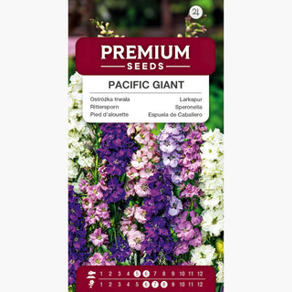 Pied d'Alouette Pacific Giant - Floraison abondante, couleurs vives, idéale pour les fleurs coupées - Delphinium x cultorum