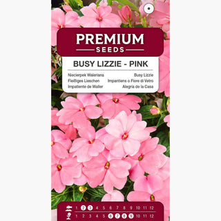 Impatiente de Waller - Rose - Idéal pour les balcons et les bordures - Impatiens walleriana