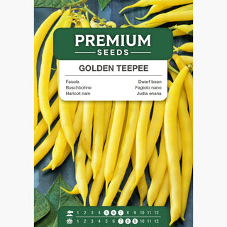 Haricot Nain Golden Teepee - Délicieusement savoureuse, gousses charnues et sans fibres !