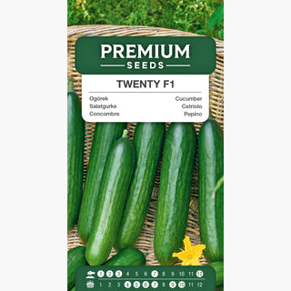 Concombre Twenty F1 - Excellente variété pour salades, pour tunnels et serres !