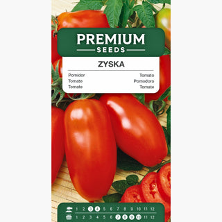 Tomate Zyska - Saveur et arôme exceptionnels, super productivité, parfaite pour conserves !