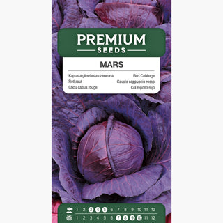 Chou cabus rouge - Mars - Rouge intense et croquante