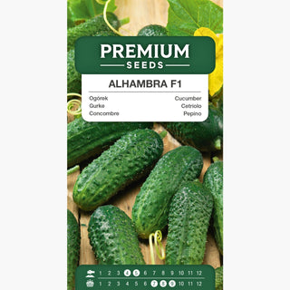 Concombre Alhambra F1 - Précoce, résistante aux maladies, sans amertume