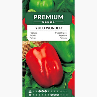 Poivron Yolo Wonder - Super productive pour tunnels et plein champ, goût et couleur intenses !
