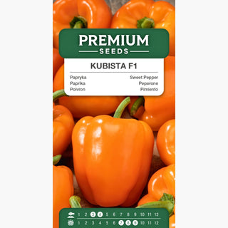Poivron Kubista F1 - Parfaite pour salades et conserves, riche en bêta-carotène !