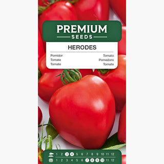 Tomate Herodes - Croissance vigoureuse, rendement élevé, gros fruits
