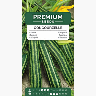Courgette - Coucourzelle - Fruits juteux, croissance rapide, goût intense