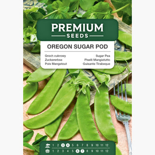 Pois Mangetout - Oregon Sugar Pod - Nain, facile à entretenir