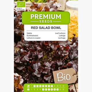 BIO Laitues à couper Red Salad Bowl - Décorative et croquante