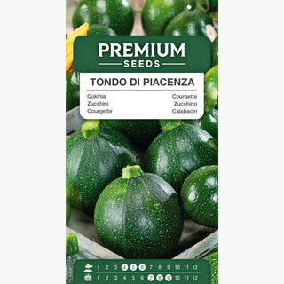 Courgette Tondo di Piacenza - Forme sphérique, idéale pour friture et cuisson