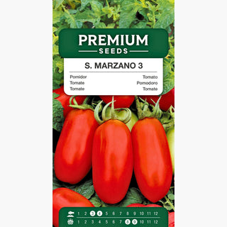 Tomate S. Marzano 3 - Super productive et arôme exceptionnel, un succès garanti