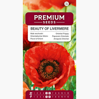 Pavot d'Orient - Beauty of Livermere - Pétales dentelés d’un rouge profond - Papaver orientale