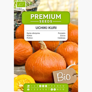 BIO Potiron Uchiki Kuri - Variété japonaise, idéale pour la cuisson