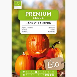 BIO Potiron Jack O'Lantern - Décoration d’automne écologique