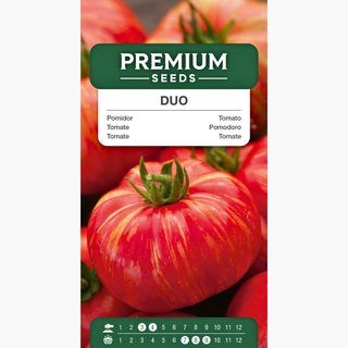 Tomate Duo - Super productive, fruits rouges juteux !