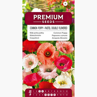 Coquelicot - Pastel Double Mélange - Couleurs douces et fleurs abondantes - Papaver rhoeas