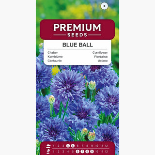 Centaurée Bleuet - Délicate beauté des massifs floraux ! - Centaurea cyanus